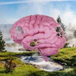 A Study Just Found Brain Eating Amoeba In 2 Popular U.S. National Parks. Here’s What You Need To Know