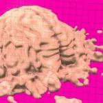 Cognitive Scientists Found Using AI For Just 10 Minutes Impairs Brain Performance