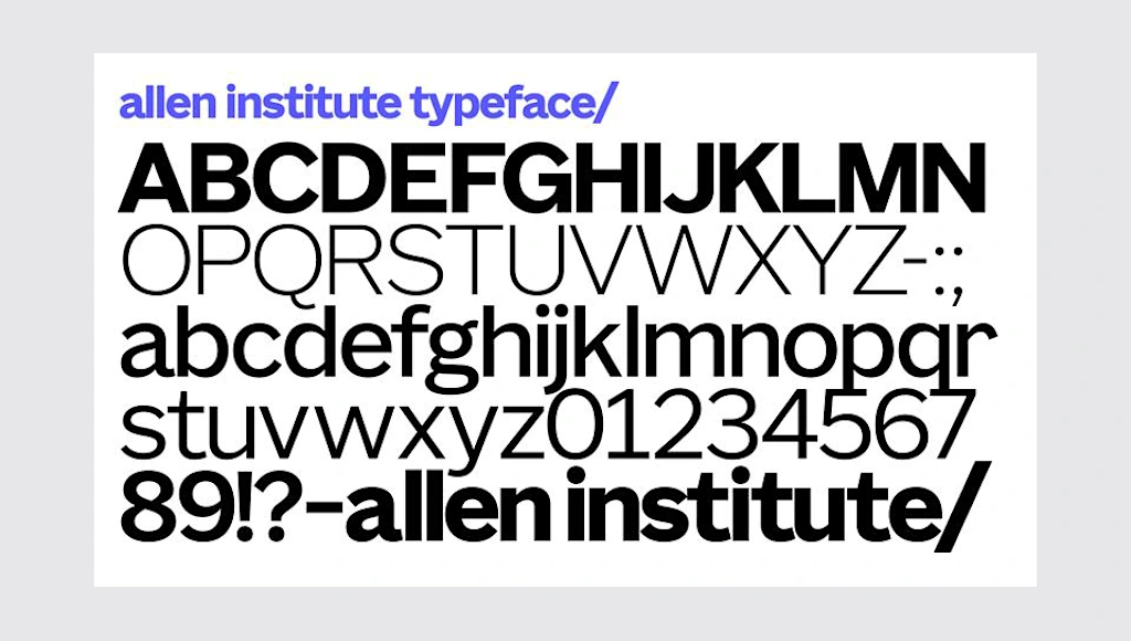 Paul Allen’s bioscience institute gets a refreshingly playful new brand