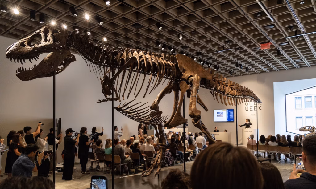 Gus the T-Rex sells for a record $50.1m at Sotheby’s