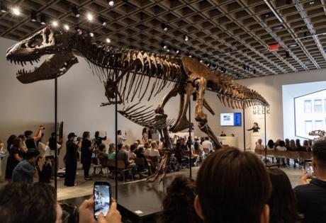 Gus the T-Rex sells for a record $50.1m at Sotheby’s