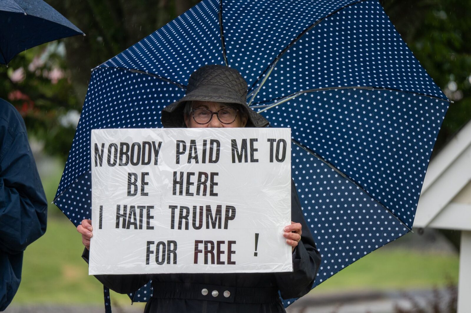 Trump’s ‘Freedom Fuel’ Initiative Launches Amidst Ongoing Fuel Price Crisis Trump's 'Freedom Fuel' Initiative Launches Amidst Ongoing Fuel Price Crisis