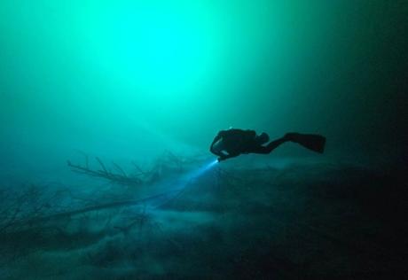 Possible ancient human remains and Maya ceramics found in Mexican cenote