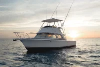 The Timeless Allure Of The Bertram 35: A Modern Classic Rebirthed The Bertram 35 Still Fishes Like A Legend