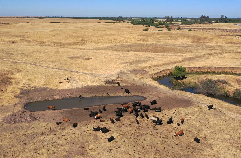 This fast-growing field is helping scientists pinpoint climate change’s impact on weather events