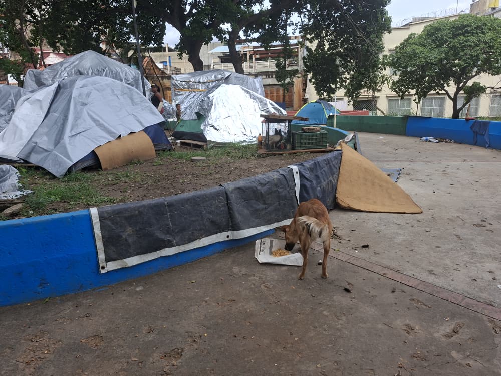 “Llovía, se cayeron las carpas y no había luz”, damnificados en  Altagracia y la réplica sísmica