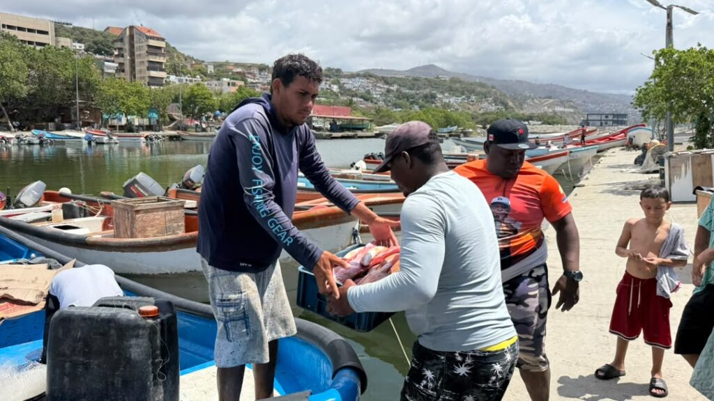 Pescadores a caraqueños: Pueden bajar a La Guaira a comprar  pescado fresco