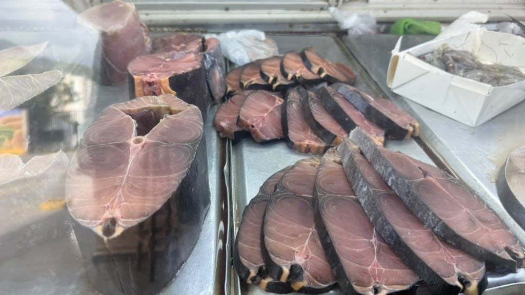 Pescadores a caraqueños: Pueden bajar a La Guaira a comprar  pescado fresco