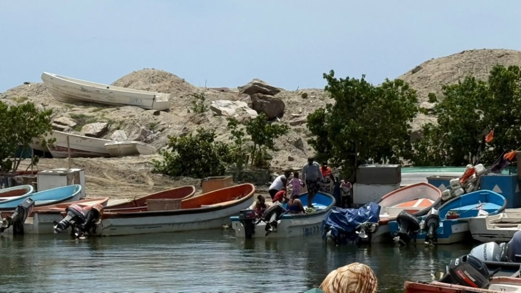 Pescadores a caraqueños: Pueden bajar a La Guaira a comprar  pescado fresco