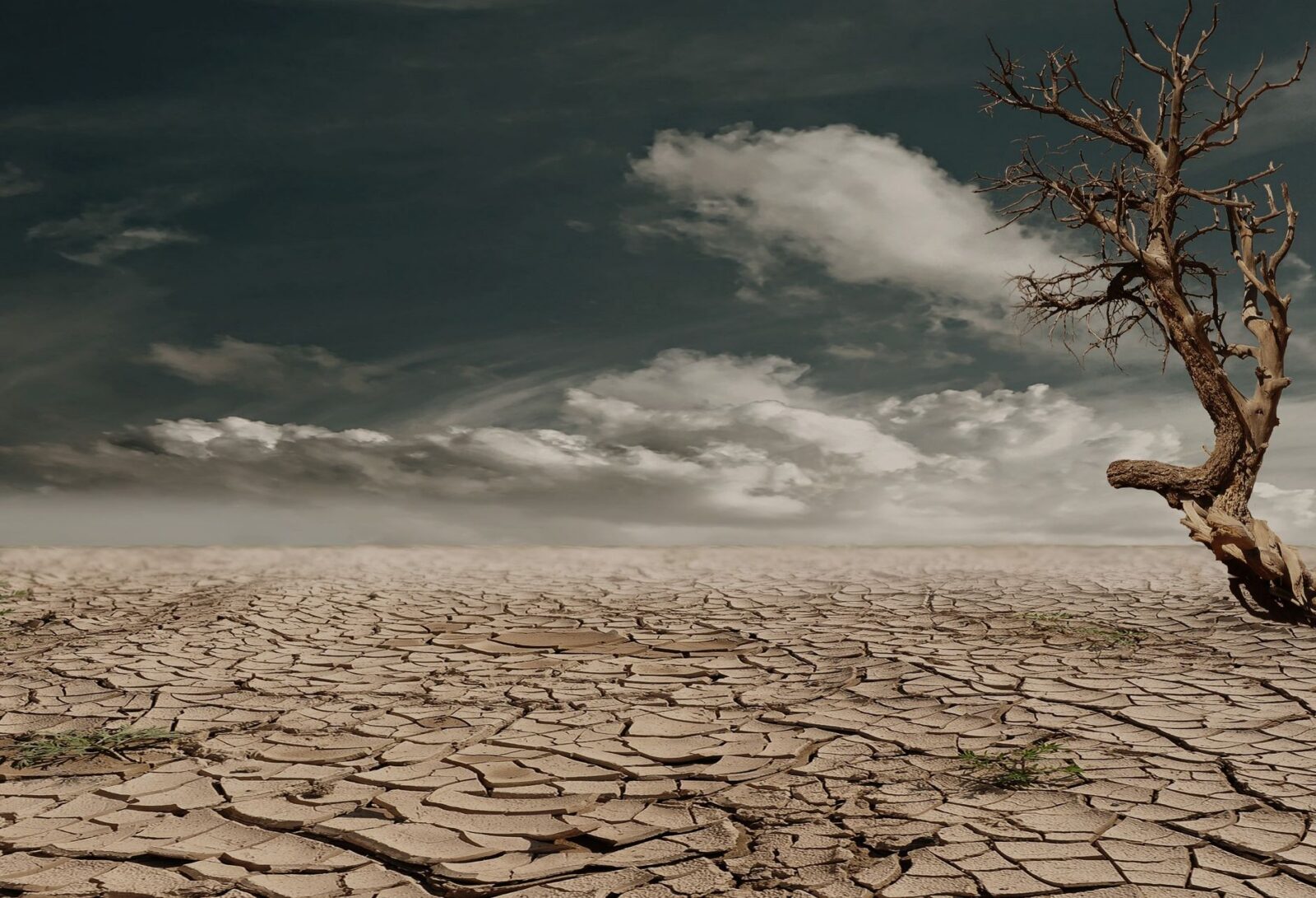 Super El Niño's Impact on Climate and Health in the Southwest U.S.