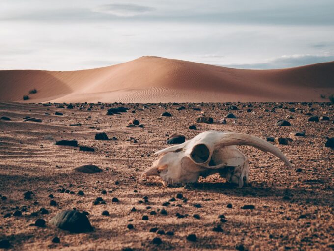 Super El Niño Projected to Cause Over 450,000 Heat Deaths by February 2027