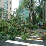 Typhoon Dujuan Leaves Four Dead and Dozens Injured in Japan