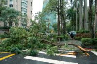 Typhoon Dujuan Leaves Four Dead and Dozens Injured in Japan