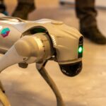 Trump Proposes Formation of 'AI Force' and Appointment of AI Czar