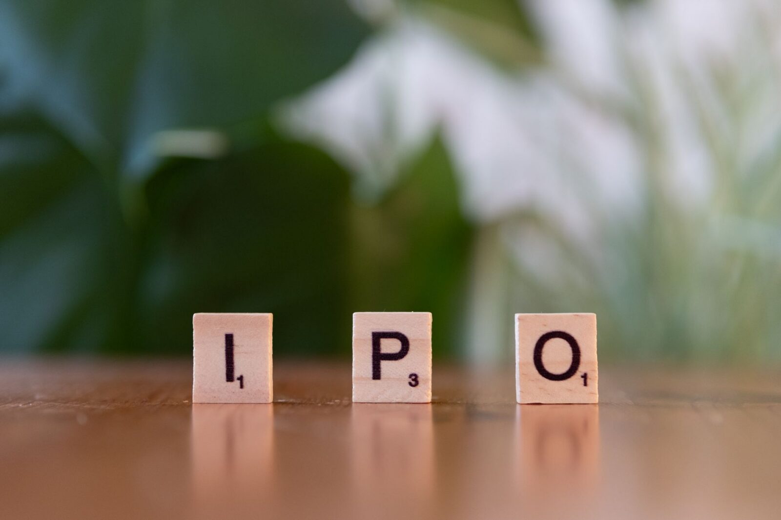 Anthropic Delays IPO to November, Raising Concerns in AI Sector