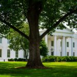 Trump and Xi Meet at the White House to Discuss AI and Trade Tensions