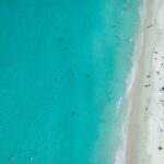 Tragic Shark Attack Claims Life of Swimmer Near Perth, Australia