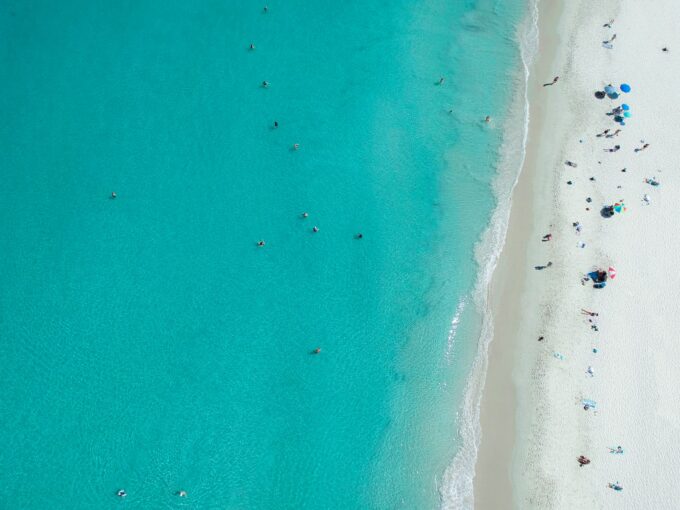 Tragic Shark Attack Claims Life of Swimmer Near Perth, Australia