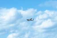 Tragic Discovery: Four Found Dead After Miami Family's Plane Goes Missing Off Bahamas