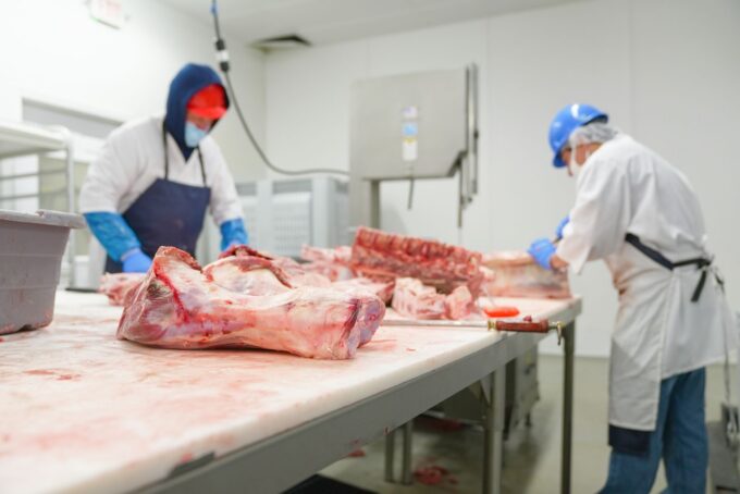 USDA Issues Recall of Nearly 170,000 Pounds of Raw Meat Due to False Inspection Labels
