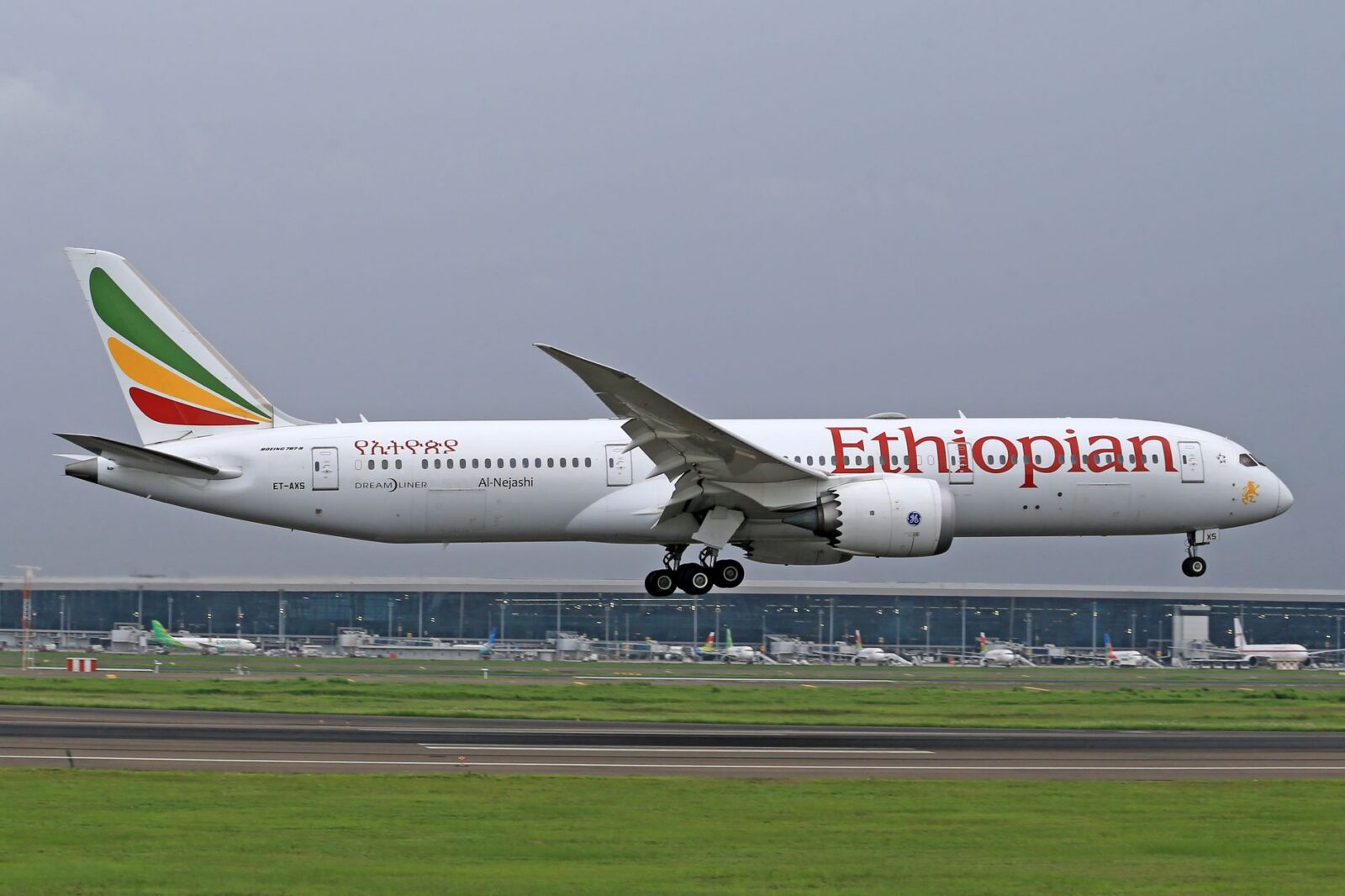 Ethiopian Government Forces Retake Airport in Tigray's Capital Mekelle