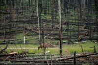 Supreme Court to Hear Landmark Climate Change Case Linked to Colorado Wildfire