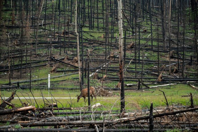 Supreme Court to Hear Landmark Climate Change Case Linked to Colorado Wildfire