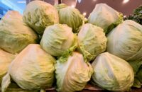 FDA Concludes Investigation into Cyclospora Outbreak Linked to Taylor Farms Iceberg Lettuce